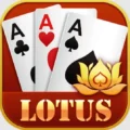 New Teen patti Lotus apk Download,Lotus Teen Patti 2023, Get Bonus ₹333